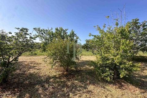Ruin i Brindisi, Brindisi, Brindisi - € 34 000 | Ref: Lamia Melograno - foto 7